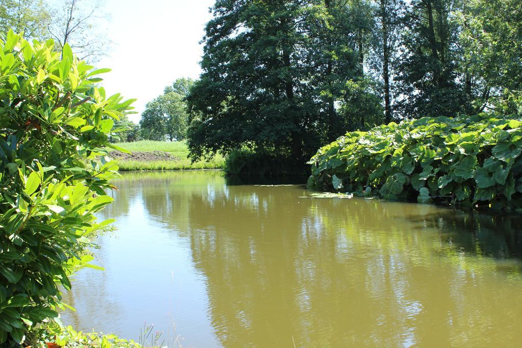Bed And Breakfast De Lijster Zuid-Scharwoude Zewnętrze zdjęcie